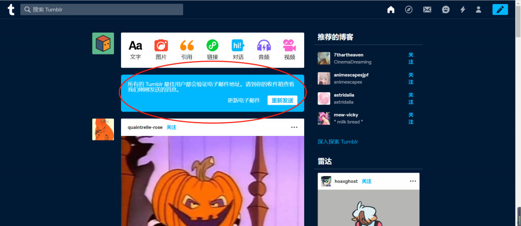 图片[7] - Tumblr (汤不热) 账号注册教程 - IPet博客