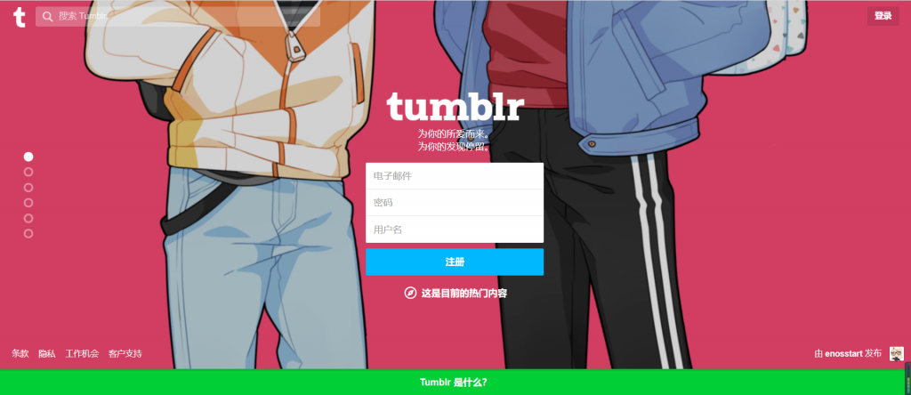 图片[3] - Tumblr (汤不热) 账号注册教程 - IPet博客