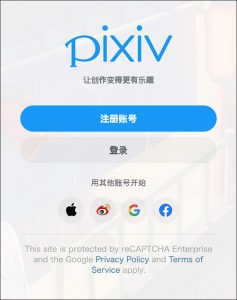 图片[2] - P站官网网址是什么？ - IPet博客