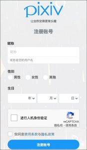 图片[4] - P站官网网址是什么？ - IPet博客
