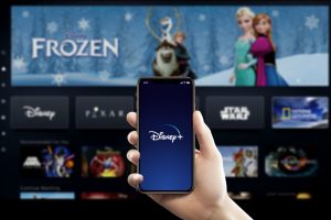 Disney+ 官方网站网页版入口 - IPet博客